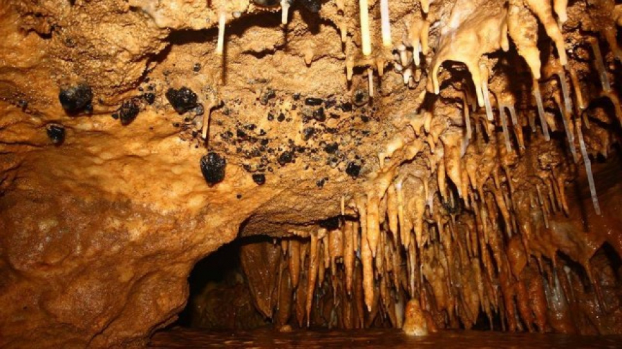 Dzudzuana Cave